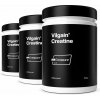 Vilgain Creatine Creapure 1500 g