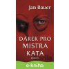 E-kniha Dárek pro mistra kata - Jan Bauer