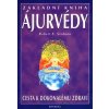 Základní kniha Ájurvédy - Robert E. Svoboda