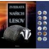 Zvieratá našich lesov - Andrea Pinningtonová