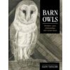 Barn Owls