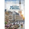 Do kapsy Bruggy a Brusel - autor neuvedený