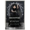 Bábika Monster High X Wednesday Rave HXJ03