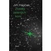 Zloději zelených koní - Jiří Hájíček