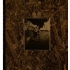 Come On Pilgrim It's Surfer Rosa - Pixies CD