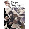 Bungou Stray Dogs 14