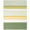 Biederlack Pléd Ever Stripe 130x170