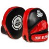 Boxerské lapy DBX BUSHIDO ARF-1118a