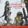 Grieg Patrick - Příběhy z mezivěku / Mp3 [CD]