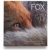 Fox (Matt Maran,Andy Parkinson)()