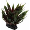Dekorácia Repti Planet Rastlina sukulent Agave zelená 18cm