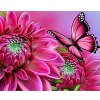 Diamantový obraz Kvety s motýľom