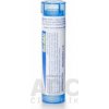 Agraphis Nutans gra.1 x 4 g 9CH