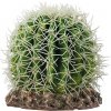 Hobby Kaktus Sonora M 15x15x13 cm