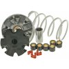Variátor Malossi [Multivar] 4-Takt 139QMB/QMA GY6