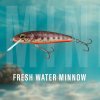 Salmo Minnow M6F Fresh Water Minnow 6 cm 4 g Salmo