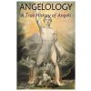 Angelology, A True History of Angels (James D Quiggle)(Brožovaná)