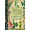 Plantas medicinales y curativas (Brožovaná)
