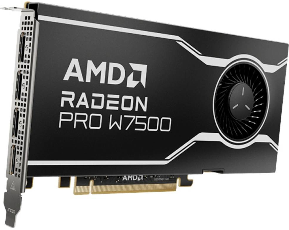 AMD Radeon PRO W7500 8GB GDDR6 100-300000078