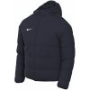 Nike Therma-FIT Academy Pro DJ6310-451 jacket