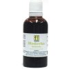 HERBÁRIUS - Medovka lekárska tinktúra 50ml