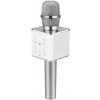 Mikrofon Karaoke mikrofon Eljet Performance stříbrný