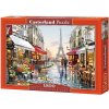CASTORLAND Puzzle Kvetinárstvo v Paríži 1500 dielikov