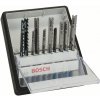 Bosch 10-dielna súprava pílových listov do priamočiarej píly Robust Line Wood and Metal 2607010542