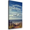 Vertikálny foto obraz na plátne Chodník na pláž 50x100 cm