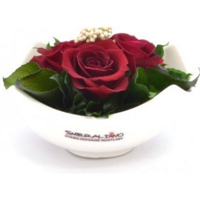 Nela Burgundy - tmavo červená (Aranž 3x stabilizovaná "večná" ruža v keramickej miske)