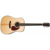 Sigma Guitars DM-1