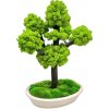 Bonsai v truhlíku