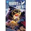 Birds of Prey Vol. 4: On the Run