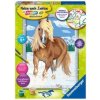 Ravensburger Malen nach Zahlen 28780 - Haflinger im Schnee - Kinder ab 9 Jahren (Hra)