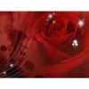 Fototapeta na stenu - FT0118 - Červená ruža 208cm x 146cm - Vliesová fototapeta