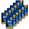 Brit Premium Cat Salmon & Trout 12 x 100 g