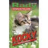 Kočky rady chovatelům - Marie Perčynská Říhová