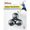 Wilson STAFF SQUASH 3 BALL