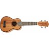 Cascha HH 2026 Soprano Mahogany Ukulele Set