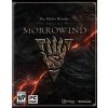 The Elder Scrolls Online Morrowind Upgrade