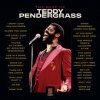 Pendergrass Teddy - Best Of Teddy Pendergrass / Vinyl / 2LP [2 LP]