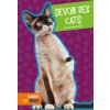 Devon Rex Cats