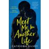 Meet Me in Another Life