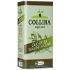 Extra panenský olivový olej Morettini 5000 ml