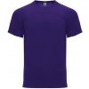 ROLY Tričko Monaco, sportovní, pánské E6401-63-XS XS Fialová tmavá