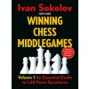 Winning Chess Middlegames Volume 2