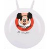 John hopsadlo Disney 100 500mm