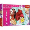 Puzzle 30 dielikov Disney Princess – krásne a odvážne