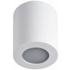 Stropné svetlo Kúpeľňové stropné svietidlo SANI 1xGU10/10W/230V IP44 biela (106750)