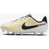 Nike LEGEND 10 ACADEMY FG/MG JR dv4348-700